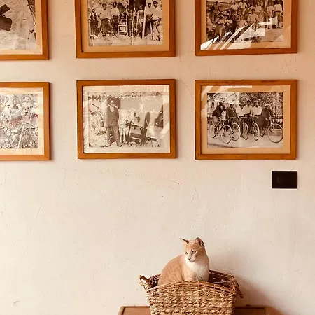 Arega Maison d'hôtes