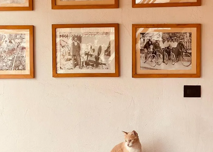 Arega Maison d'hôtes